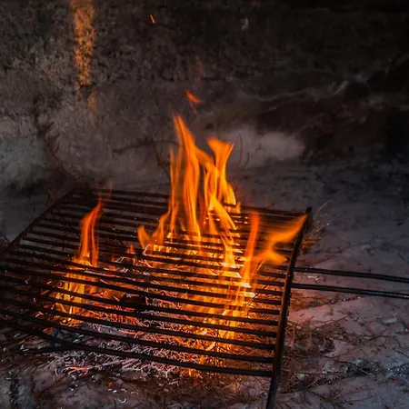 Flora Feriehus Zadar