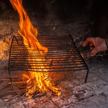 Flora Hébergement de vacances Zadar