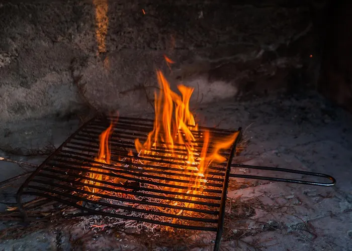 Flora Vakantiehuis Zadar